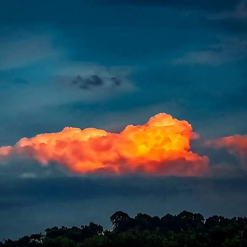Photo #12201267