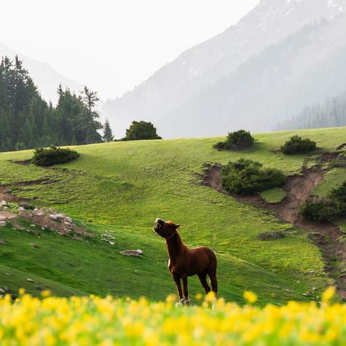 Фотография #12201864