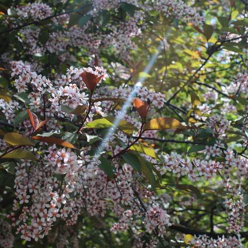 Photo #12202093