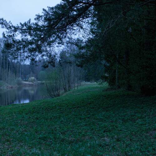 Photo #12202101