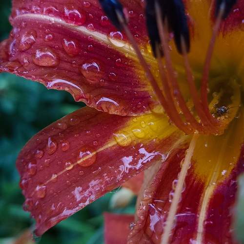Photo #12202251