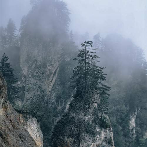 Photo #12202603