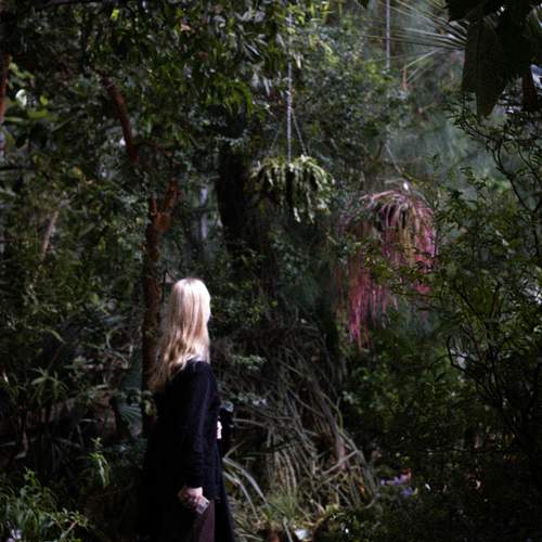 Photo #12202737