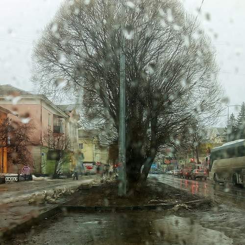 Photo #12202865