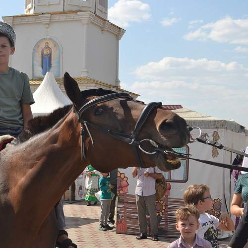 Photo #12202869