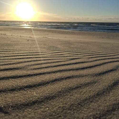 Photo #12203139