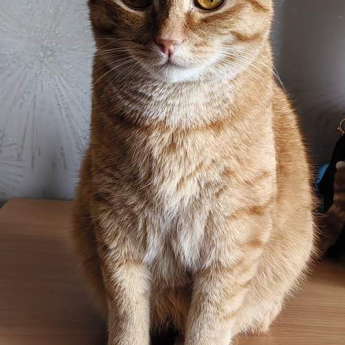 Photo #12203560