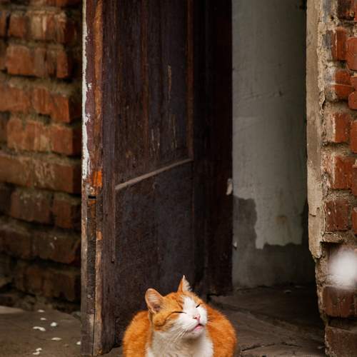 Photo #12203762
