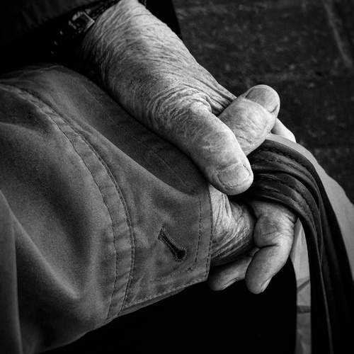 Photo #12203776