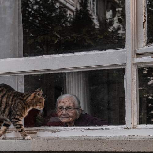 Photo #12203791