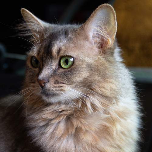 Photo #12203795