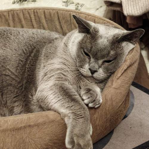 Photo #12203839
