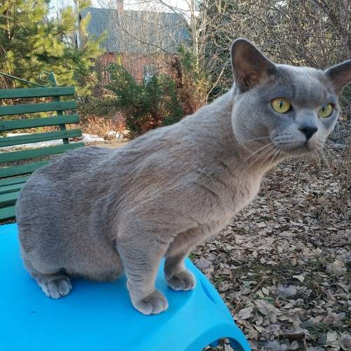 Photo #12203841