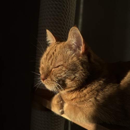 Photo #12203867