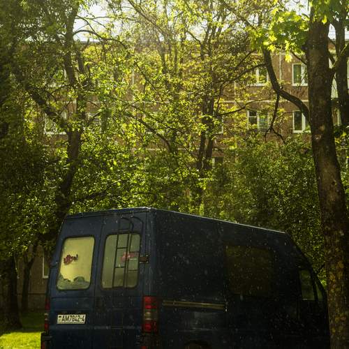 Photo #12203909