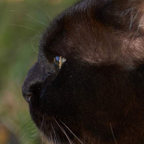 Photo #12204194