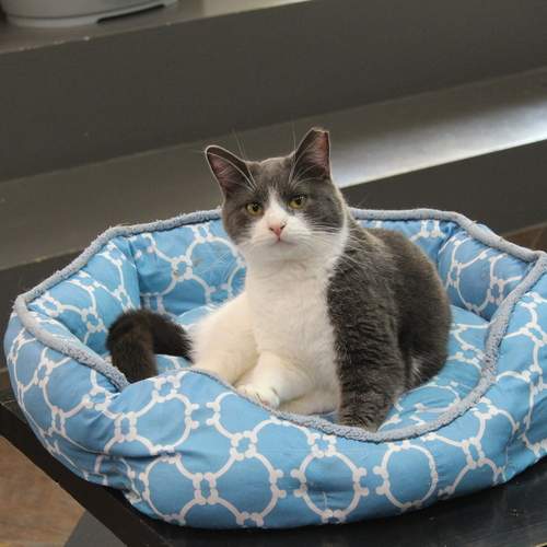 Photo #12204208