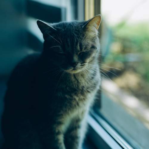 Photo #12204333