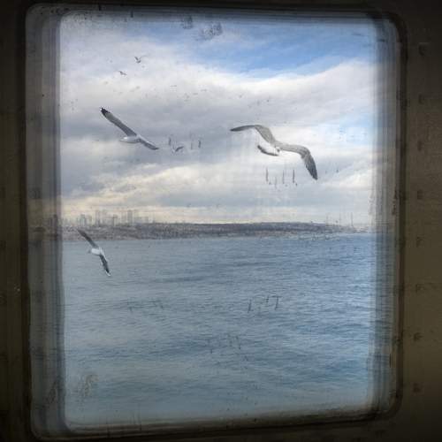 Photo #12204641