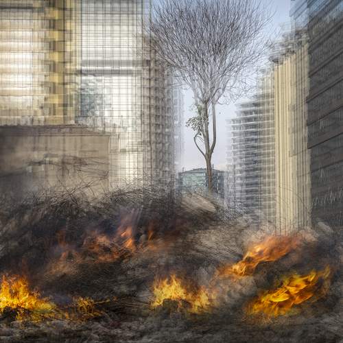 Photo #12204645