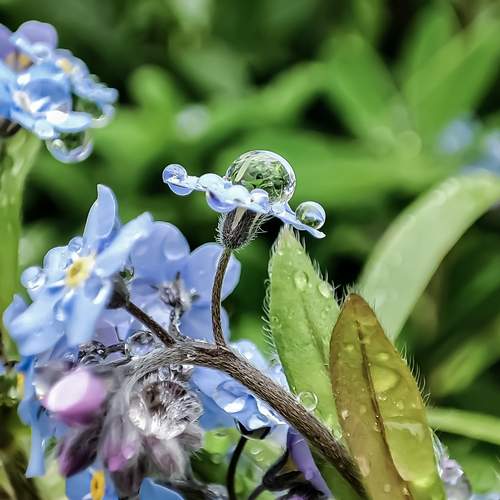 Photo #12204790