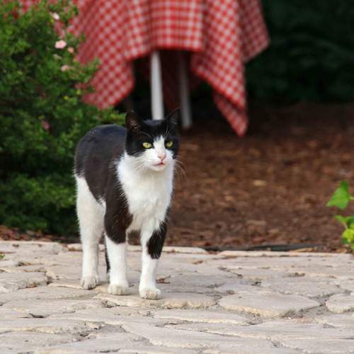 Photo #12204866