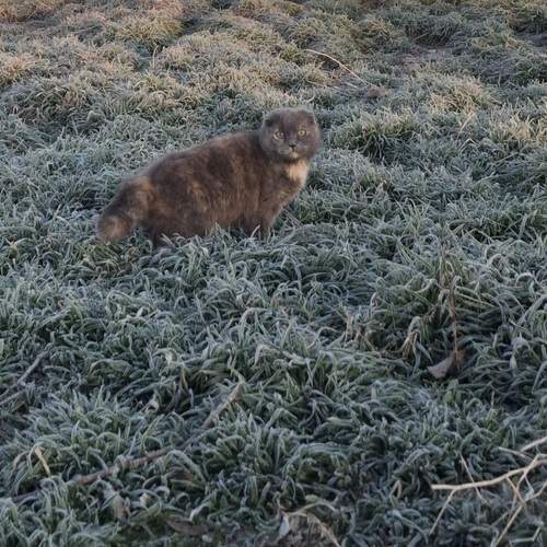 Photo #12204908