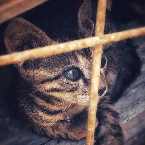 Photo #12205098