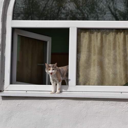 Photo #12205103