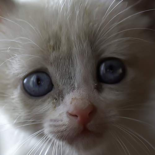 Photo #12205224