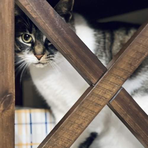 Photo #12205228