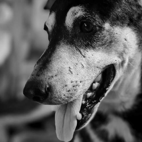 Photo #12205352