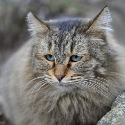 Photo #12205498