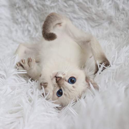 Photo #12205526