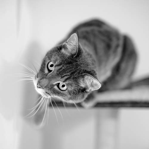 Photo #12205567