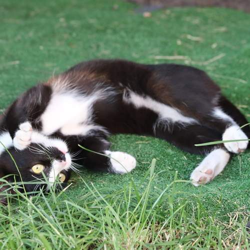 Photo #12205628