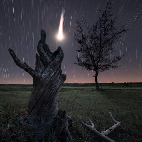 Фотография #12205646