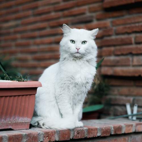 Photo #12205736