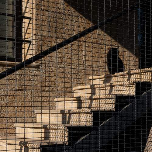 Photo #12205738