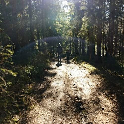 Photo #12205754