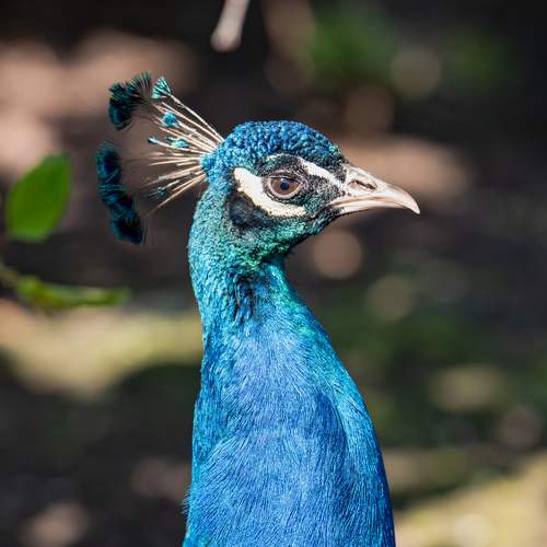 Photo #12205879