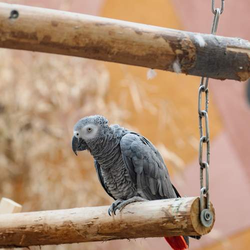 Photo #12205889