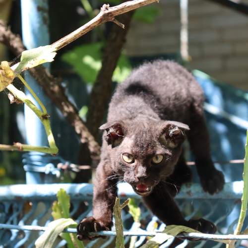 Photo #12206050