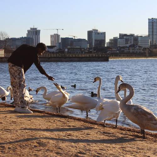 Photo #12206133