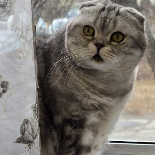 Photo #12206137