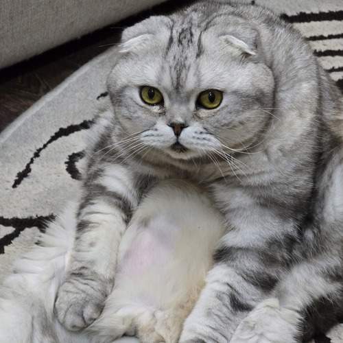 Photo #12206138