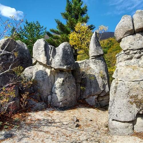 Photo #12206264