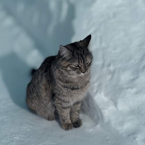 Photo #12206531
