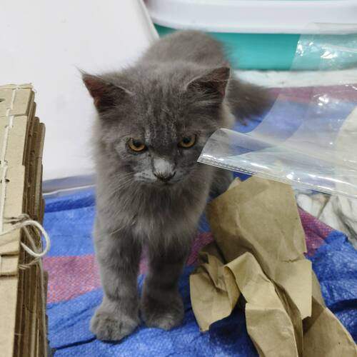 Photo #12206587