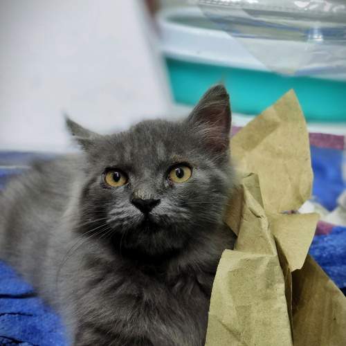 Photo #12206589